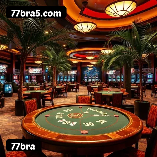 Termos e Condições Transparentes 77bra